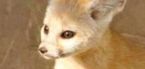 Made the server even more WEIRD ha!