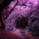 Shadowed Dwelings Discord Server Banner