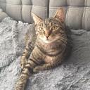 Murkove Discord Server Banner