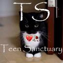 Teen Sanctuary Discord Server Banner