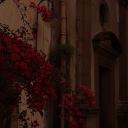 The Counting Coven Discord Server Banner