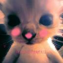 Silly’s amazing server :3 Discord Server Banner