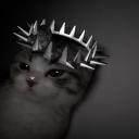 #peelingflesh Discord Server Banner