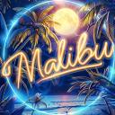 ✞ Malibu ✞ Discord Server Banner