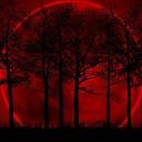 Blood moon grove Discord Server Banner