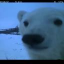 FS/ FREE STREAMING Discord Server Banner