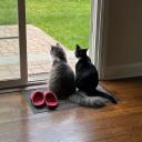 sushidango Discord Server Banner