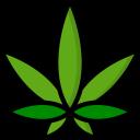BayBuds - For Bay Area 420 Fans Icon