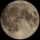 Night Creatures Discord Server Banner