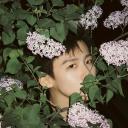 Bai Jingting Fanclub Discord Server Banner