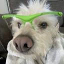 CharCraft Discord Server Banner