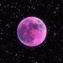 MOONLIGHT Discord Server Banner