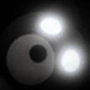 🐷PiggyPL🕳️ Discord Server Banner