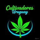 Cultivadores Uruguayos Discord Server Banner