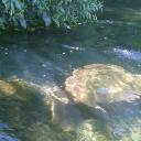 lazy river Discord Server Banner