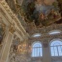 ❀° 𝑊𝑖𝑙𝑙𝑜𝑤𝑠𝑏𝑙𝑜𝑜𝑚 °❀ Discord Server Banner