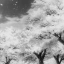 — ୨୧₊˚ 𝒞ℒ𝒪𝒰𝒟 Discord Server Banner