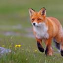 Gaming Discord Server Banner