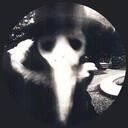 Plague Town Discord Server Banner