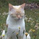 Bread worship Discord Server Banner