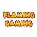 Flaming Gaming Discord Server Banner