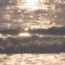 🌻Sunbeam Social Discord Server Banner