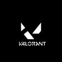 Valorant Cheats Discord Server Banner