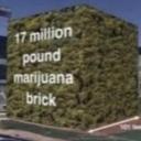 Crows Bird House Discord Server Banner