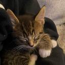 Twink Luwi Discord Server Banner