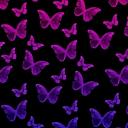 Bisexual Server Discord Server Banner