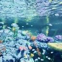 Coral Cafe 🪼 Discord Server Banner