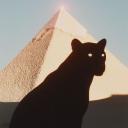 Zenvy PK Discord Server Banner