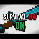 SurvivalBW ON Discord Server Banner