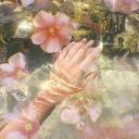 Flower Garden Discord Server Banner