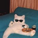 Twizxle Discord Server Banner