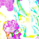 Crispy Critters Discord Server Banner