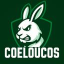 Coeloucos Discord Server Banner