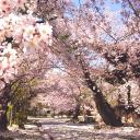 𓍢ִ໋LOVESTORY₊ Discord Server Banner