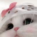 vivi's cafe Discord Server Banner