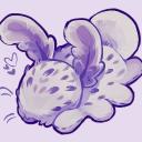 dream Discord Server Banner