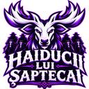Haiducii lui Șaptecai Discord Server Banner