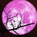 Planet Kal Discord Server Banner