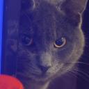 Dylan's Cozy Place Discord Server Banner