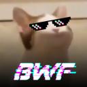 Better With Friends - BWF Discord Server Banner