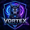 Vortex Esports Hub Discord Server Banner