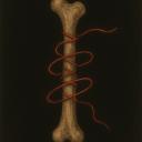 The Red Thread Discord Server Banner