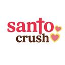 Santo Crush Discord Server Banner