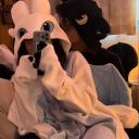 🎀 Get a Soulmate 🎀 Discord Server Banner