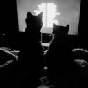 ₊ ˢᵒᵏᵒ Discord Server Banner