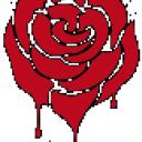 Blood Rose | Esports Romania Discord Server Banner